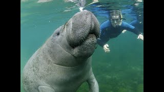 Полный обзор отеля The Three Corners Fayrouz Plaza Beach Resort туристом в 2022 году 