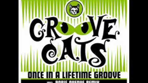 Groove Cats - Once In A Lifetime Groove