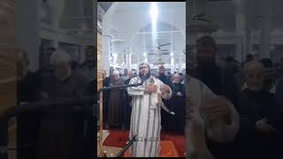 Cat Jumped On Imams Shoulder