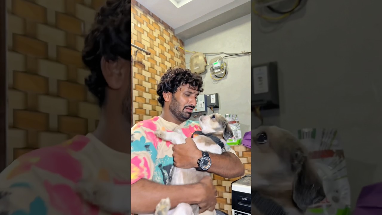 Pet🐶Se Pareshan😭