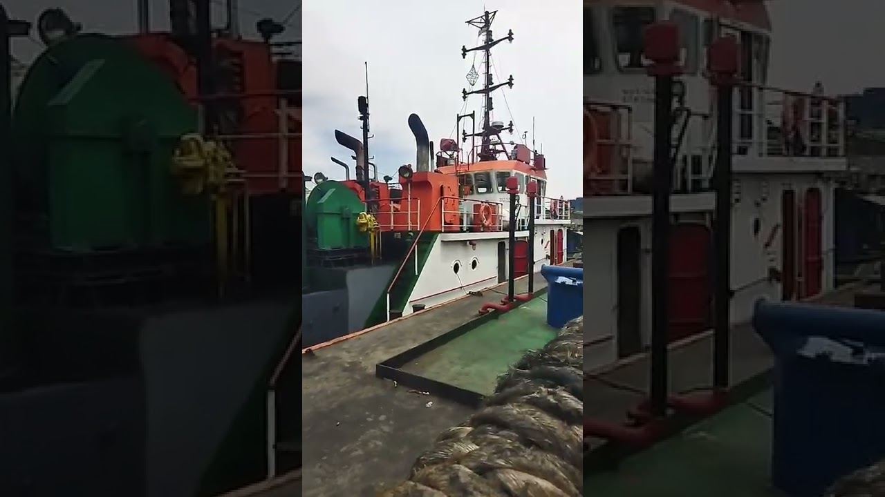 PROSES BONGKAR MUATAN CPO DI BELAWAN 