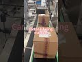 Automatic Carton Top Labeling Machine | Box Top Surface Labeling Machine