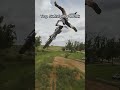 Top 5 Skills That Shouldn’t Be Humanly Possible 🤯