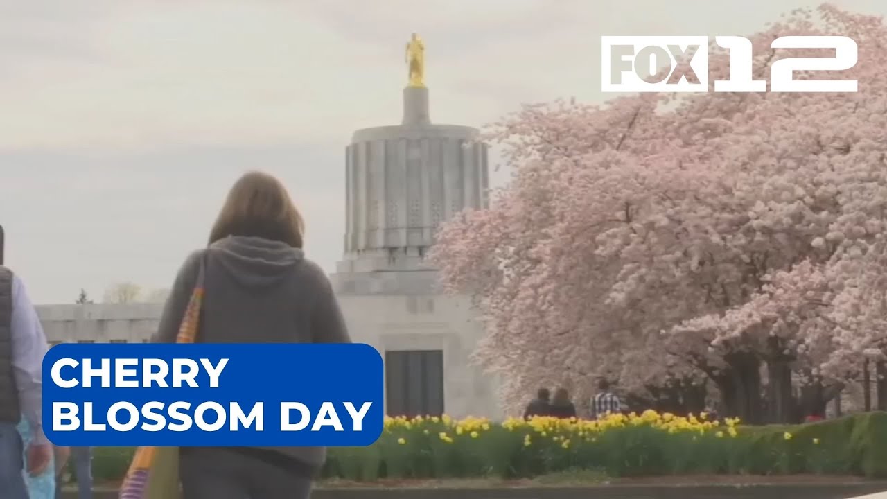 Cherry Blossom Day returns to Oregon State Capitol