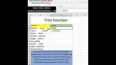 Unleash the Power of Excel