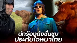 นักร้องนำ Oasis สุดประทับใจหมาไทย หลังรับมาเลี้ยงจากศูนย์พักพิง