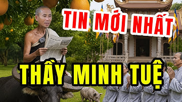 A CHAN BÁU thực sự đã “GIẢI CỨU” Thầy Minh Tuệ an toàn?