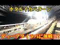 昨日までは良かったパターンかと思ったら、突然・・・！！！【ディープタイラバ】【福井県】