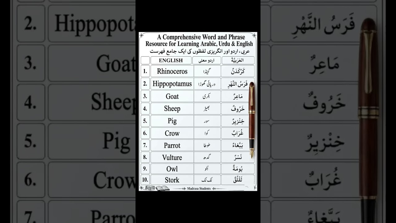 Arabic #shorts #tranding #vairal