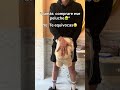 Mira el primer comentario👀🐮 #vaca #regalos #españa #peluchevaca