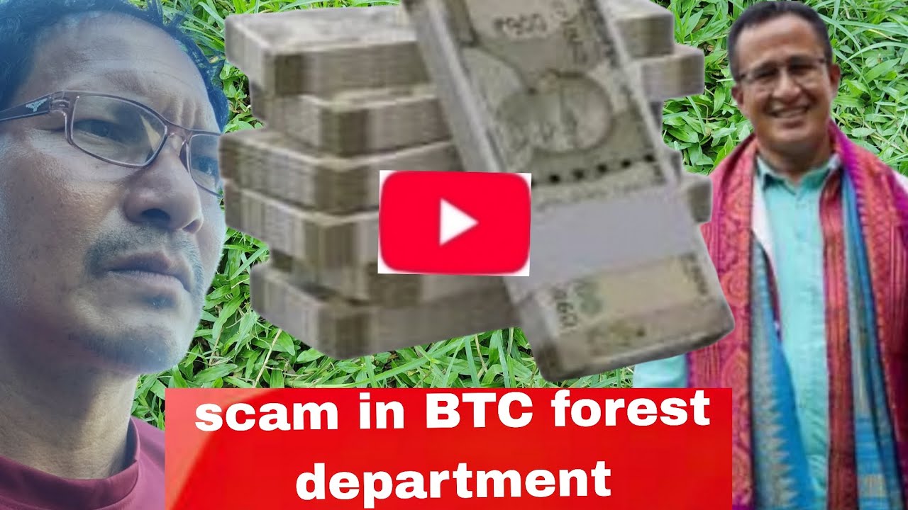 A scam has been uncovered in the BTC forest department