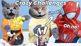 Oscar’s Most Viewed Video Collection Will Delight You😸|Oscar‘s Funny World|Cute And Funny Cat TikTok by Oscar's Funny World 886,819 views 11 months ago 10 minutes, 24 seconds