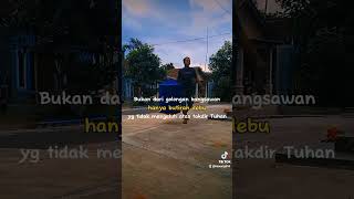 Dibutuhkan Mental Yg Kuat Untuk Dunia Murai Batu