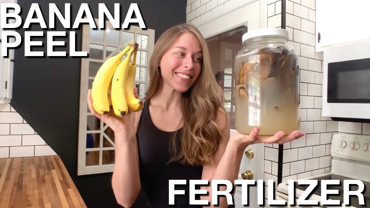 How To Make Banana Peel Fertilizer For Peppers & Tomatoes 🍌 (ZERO WASTE
