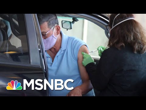 Dr. Rob Davidson: ‘There Is A Rational Exuberance’ For The COVID Vaccines | The Last Word | MSNBC