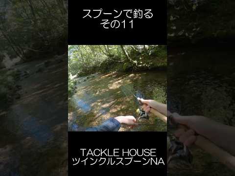 スプーンで狙う渓流ルアーフィッシング　その11　 #釣り #渓流ルアー
