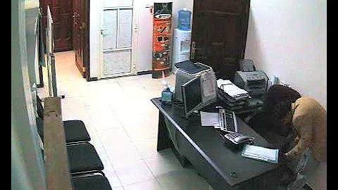 professional and fool thief