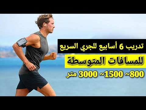 فيديو: 4 طرق لرسم بقرة