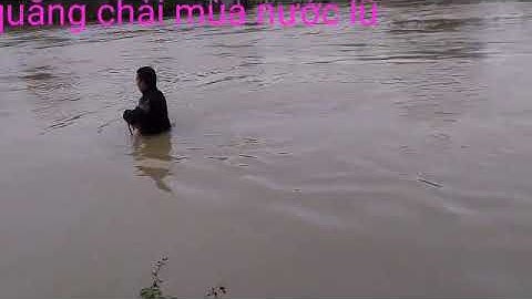 Cảnh Quăng chài Bắt Cá mùa Nước Lũ. Vui Như Hội.