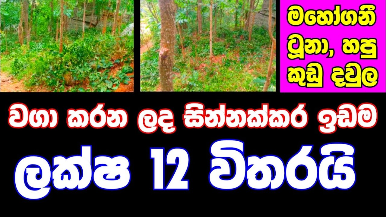 HOUSE FOR SALE in Sri Lanka land sale aduwata idam aduwata gewal