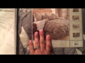 Sicily Teal Comforter Set by J Queen New York - YouTube