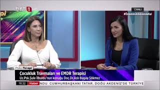 EMDR terapi süreci - Doç.Dr.Aslı Bugay Sökmez