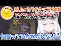 【ホロライブ切り抜き】『白上のパイナップル』の言葉を全然聞き取れなかったフブキちゃんｗ【不知火フレア 白上フブキ】