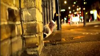 Full TELEDYSK Bingo Players ft Far East Movement Get Up Rattle Official Video Ministry of Sound TV HD AVI News