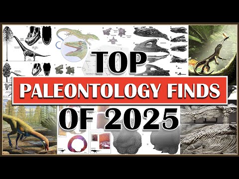 Top Paleontology Discoveries of 2025
