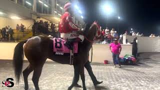 2025 Delta Downs La-Bred Derby(RG3) Recap- StallioneSearch.com