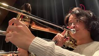 Sleigh Ride from the Bass Trombonist’s Perspective