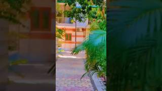 #hindisong #newshorts #song #lovesong #lovestatus #vairalsong #naturelover #nature 🌿🍃#romanticsong