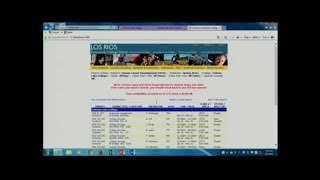 Celebrity eServices Tutorial Net Worth