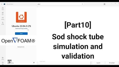 [Part10] [OpenFoam] Sod shock tube simulation and validation