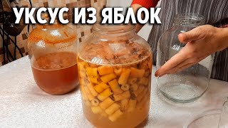 КАК СДЕЛАТЬ ЛЕЧЕБНЫЙ ЯБЛОЧНЫЙ УКСУС СВОИМИ РУКАМИ