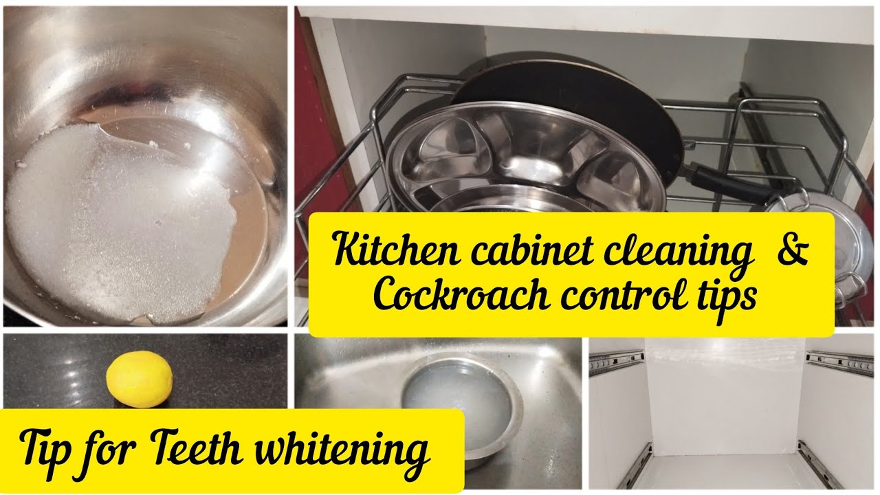 How to clean a kichen and get rid of cockroach. Usefull tip to