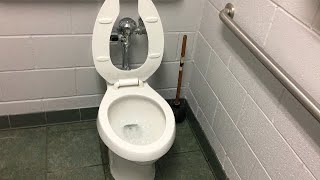 455: ELJER Signature Toilet at Menards