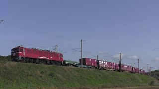 【JR貨物】1063レ ED76-81 交通安全運動HM付き