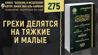 Грехи делятся на тяжкие и малые | Шейх Абдурраззак аль-Бадр | Болезнь и Исцеление | №275