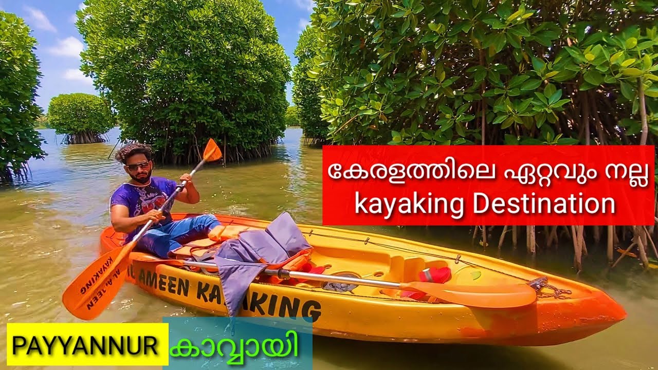 Best kayaking Destination kannur Kavvayi kayaking.kayaking eastern mangroves, kayaking for beginners