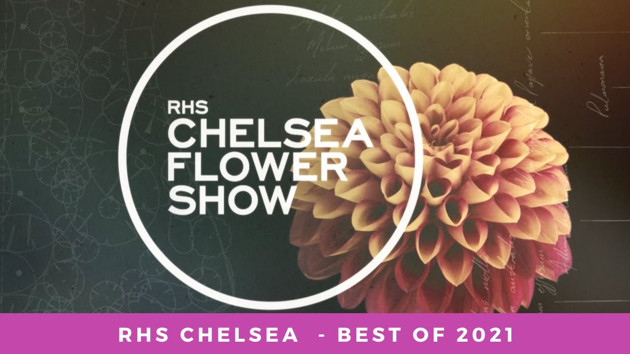 RHS Chelsea Flower Show 2021 Best of 2021 YouTube