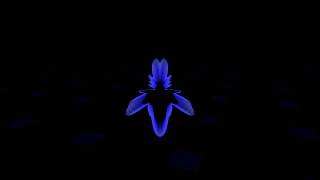 Veela - Circa 1620 (Atma Remix) [HQ]