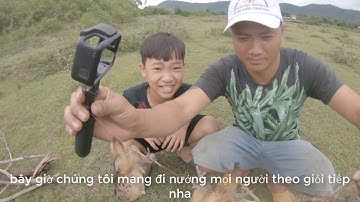 hailun tv[bẩy cút rừng và nướng ăn ngoài đồng rất ngon]