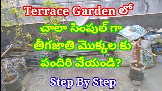 తీగజాతి మొక్కల కు పందిరి ఎలా వేయాలి?|nagaraju terrace gardening part-2