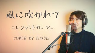 風に吹かれて / エレファントカシマシ cover by たのうた