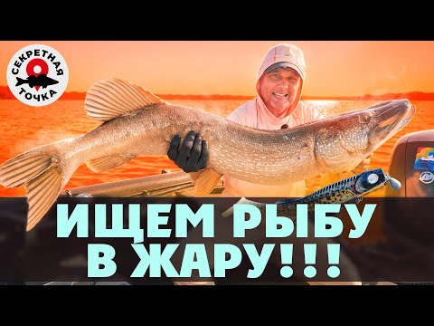 CATCH PIKE. HEAT. JULY | Looking for fish in hell | Secret point | Episode 4