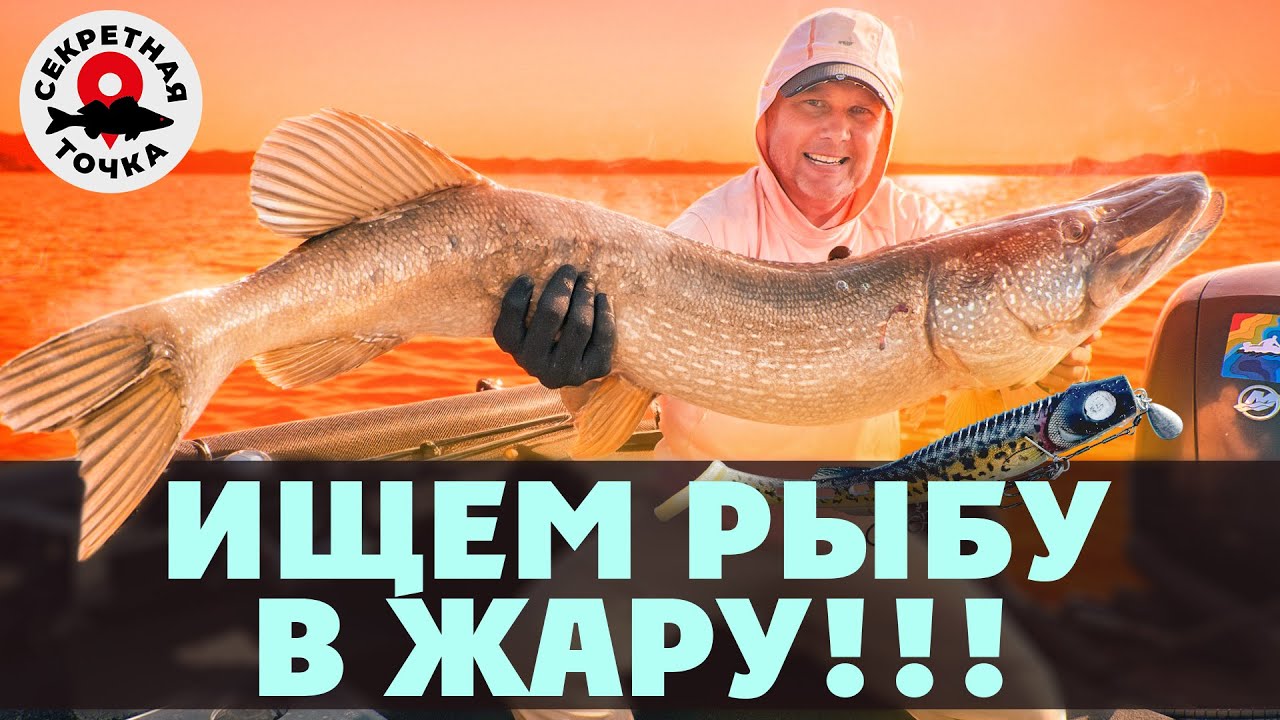 НАПОРОЛИ ЩУК. ЖАРА. ИЮЛЬ | Ищем рыбу в пекло | Секретная точка | 4 серия