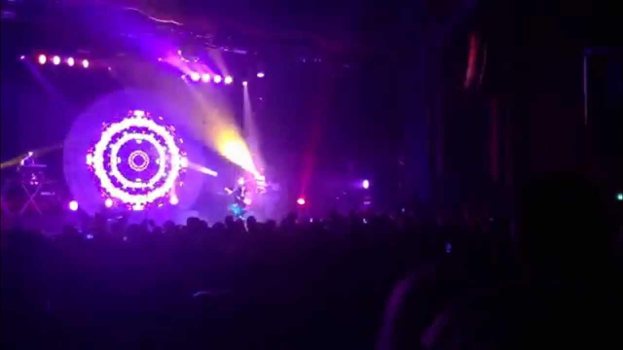 Electric daisy violin live