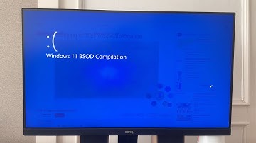 Windows 11 BSOD Compilation