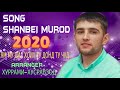 SHANBEI-MUROD***2020 ЯМ МУ ДИЛ ХОИХ ТУ ДОНД ЧУД